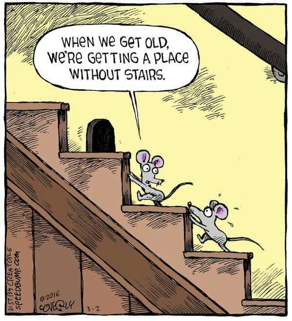 1-1 The 20 Funniest Moments from the Latest Comics by Dave Coverly