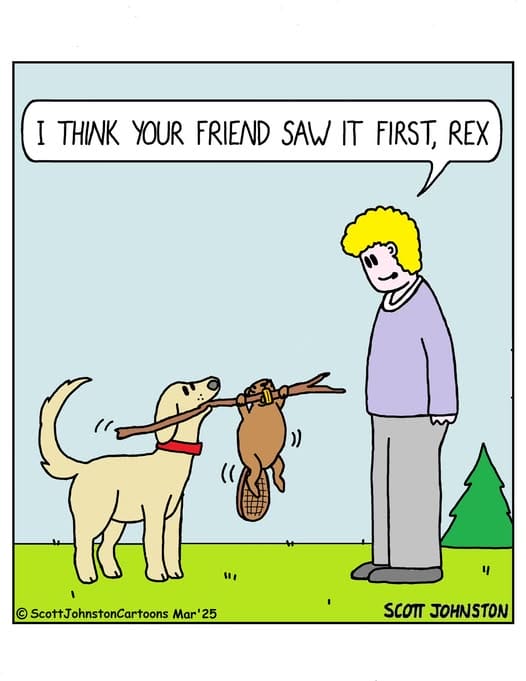 10-5 20 of Today Funniest Cartoons by Scott Johnston, That’ll Make You Laugh Out Loud