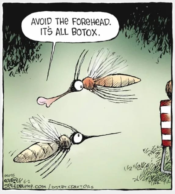 10 The 20 Funniest Moments from the Latest Comics by Dave Coverly
