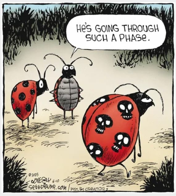 13-27 20 New Funny Cartoons That Perfectly Capture Everyday Struggles