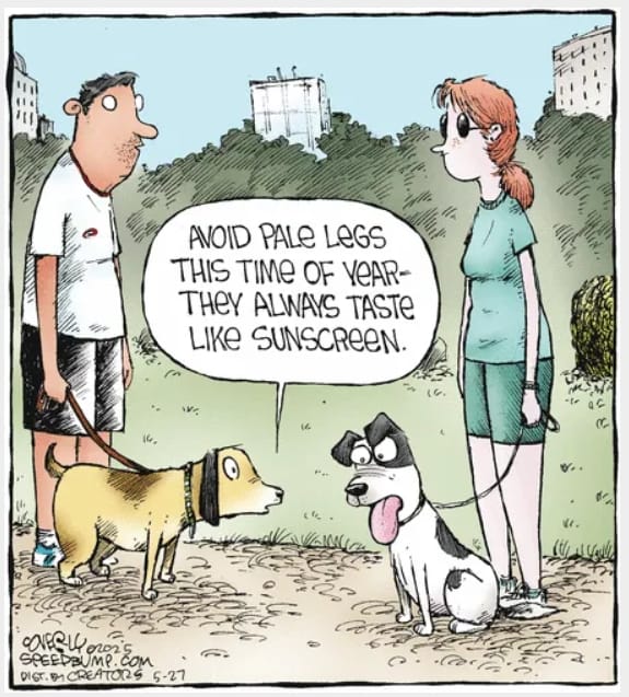 14-1 The 20 Funniest Moments from the Latest Comics by Dave Coverly