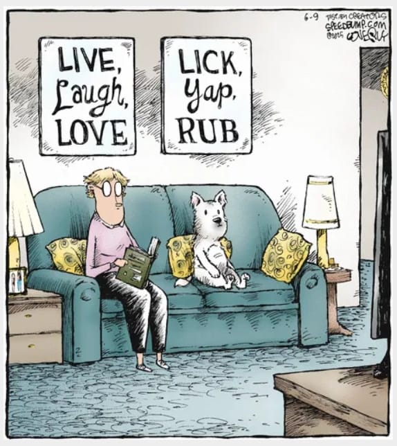 14-28 20 New Funny Cartoons That Perfectly Capture Everyday Struggles