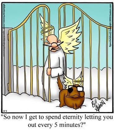 14-37 20 Trending Humor Comics by Bill Abbott That’ll Instantly Brighten Your Day