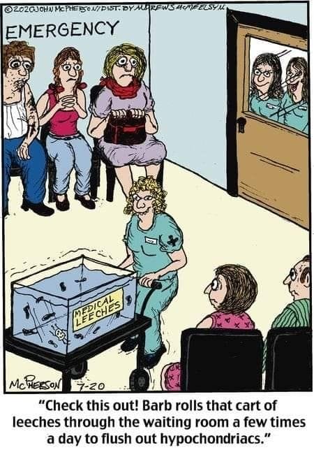 14-52 20 Best Daily Comics to Kickstart Your Day with Laughter