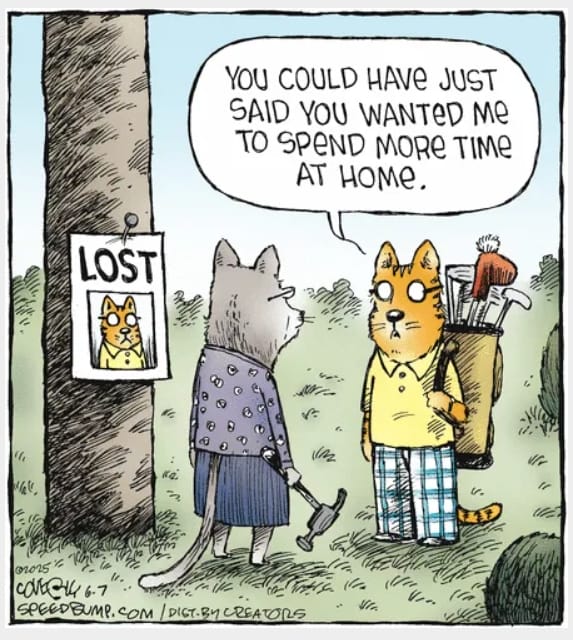 15-27 20 New Funny Cartoons That Perfectly Capture Everyday Struggles