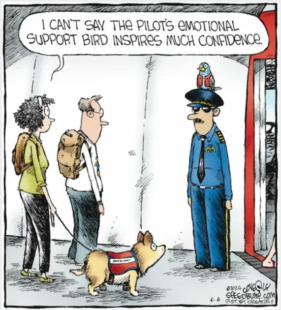 16-27 20 New Funny Cartoons That Perfectly Capture Everyday Struggles