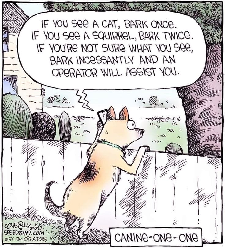 17-1 The 20 Funniest Moments from the Latest Comics by Dave Coverly