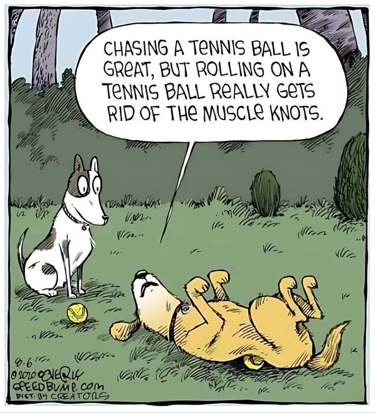 19-1 The 20 Funniest Moments from the Latest Comics by Dave Coverly