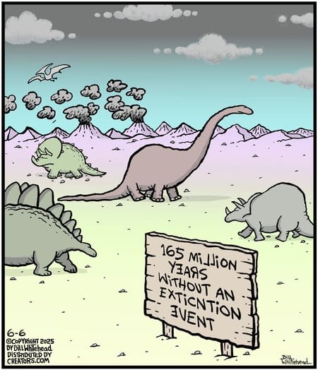 Witty Cartoon Humor