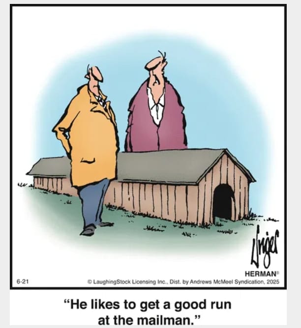 3-34 The Funniest 20 Best New Comics You’ll See This Year
