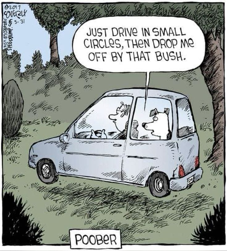 4-1 The 20 Funniest Moments from the Latest Comics by Dave Coverly