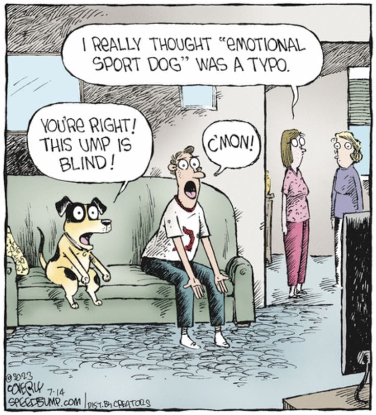 4-26 20 New Funny Cartoons That Perfectly Capture Everyday Struggles