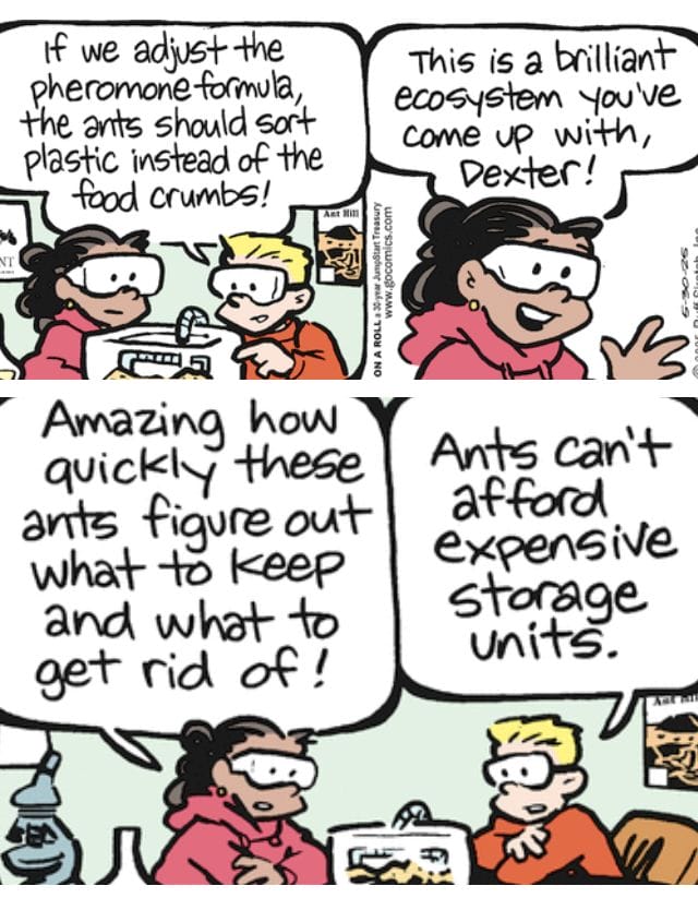 Latest Dad Jokes