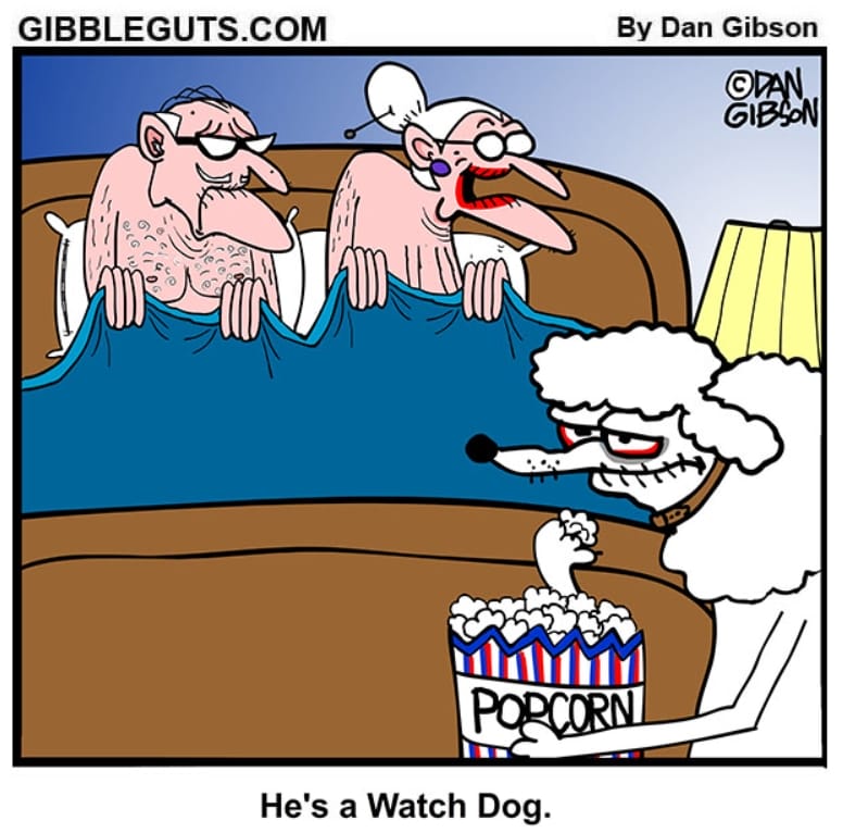 Senior Humor Comics 