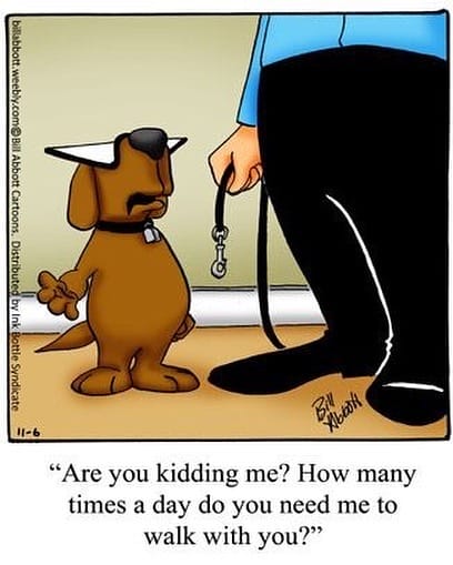 6-31 20 Trending Humor Comics by Bill Abbott That’ll Instantly Brighten Your Day