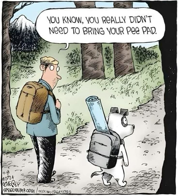 7-1 The 20 Funniest Moments from the Latest Comics by Dave Coverly