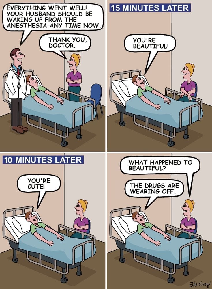 7-17 20 Hilarious Comics That Prove Why This Is the Best Grog Humor Ever