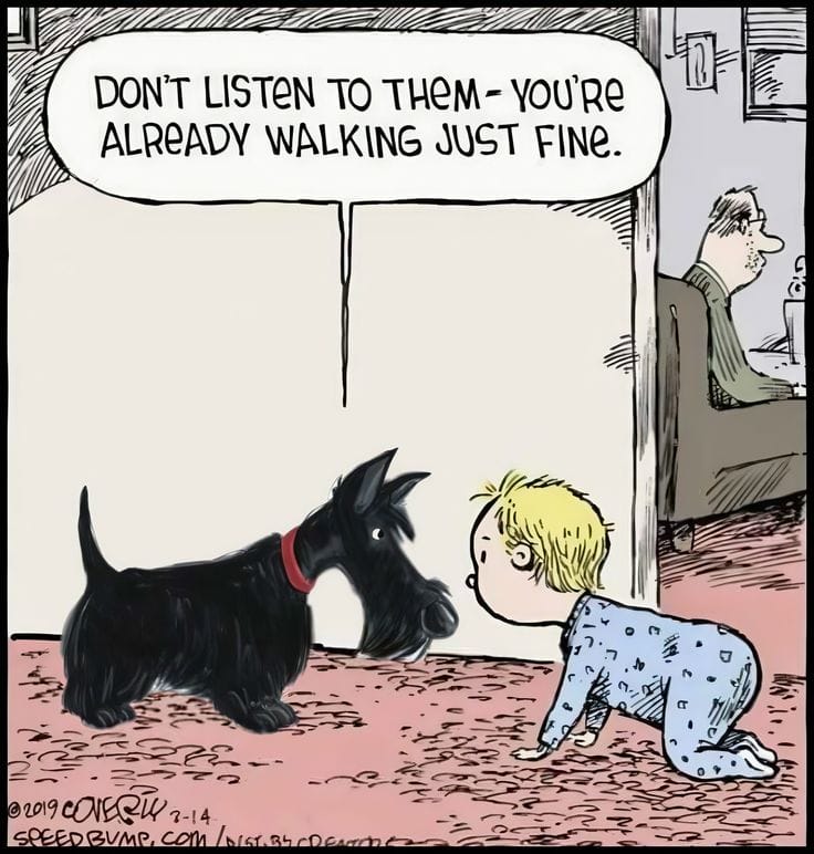 8-1 The 20 Funniest Moments from the Latest Comics by Dave Coverly