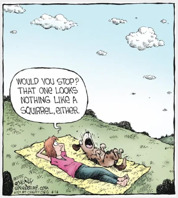 8-26 20 New Funny Cartoons That Perfectly Capture Everyday Struggles