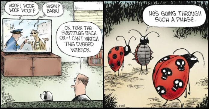 New Funny Cartoons