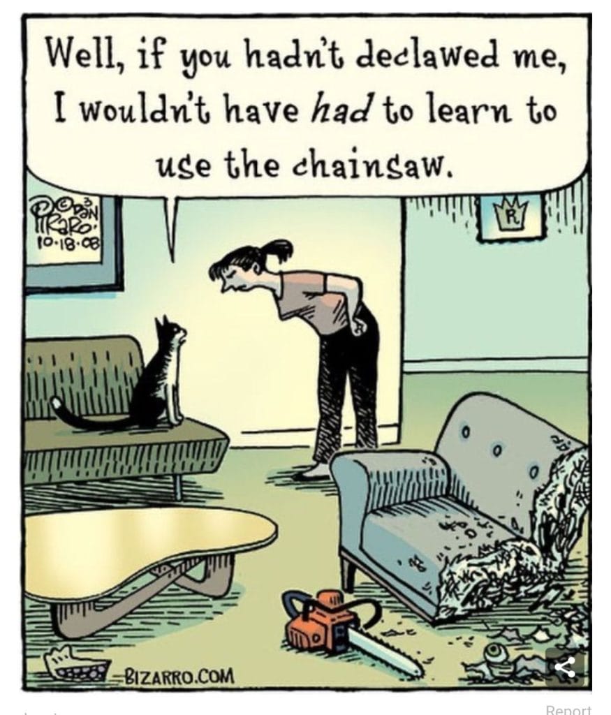 1-22-875x1024 20 Top Hilarious Comics by Dan Piraro for a Daily Dose of Joy