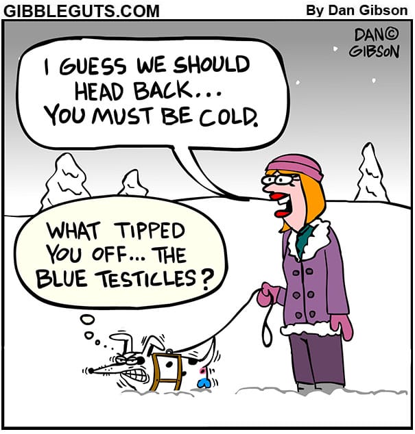 1-23 20 New Daily Comics Start Your Day with These Hilarious Strips