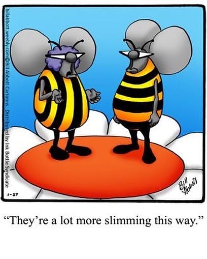 10-28 20 New Funny Cartoons That Will Instantly Brighten Your Day