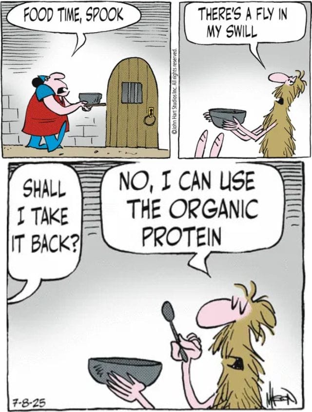 10-38 20 Best Hilarious Comics The Ultimate Daily Life Humor Mashup