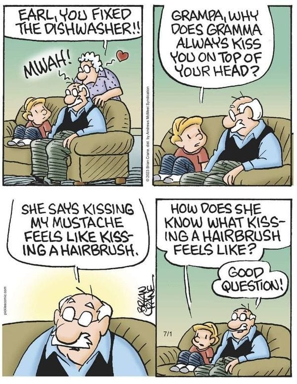 10-39 20 Family Humor Cartoons for All Ages The Comic Strips Everyone Loves