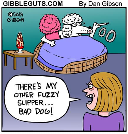 11-24 20 New Daily Comics Start Your Day with These Hilarious Strips