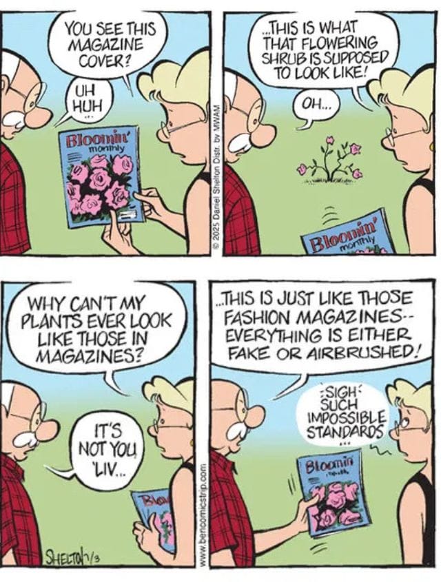 11-34 20 Funny Senior Humor Strips That Capture the Joys of Aging