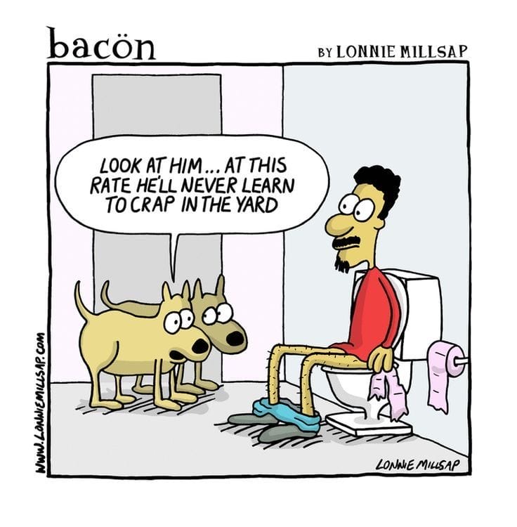 11-35 20 Best Webcomics With Big Laughs in Small Panels Curated by Bacon