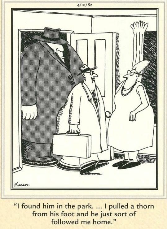 11-43 20 Weird Humor Comics Reviewed The Most Hilarious Cartoons of All Time