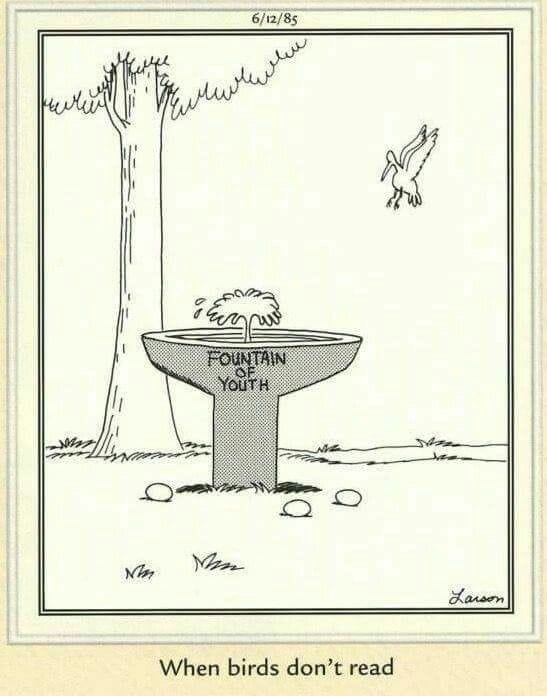 12-43 20 Weird Humor Comics Reviewed The Most Hilarious Cartoons of All Time