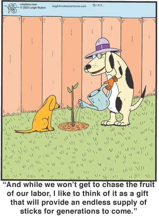 13-39 20 New Humor Cartoons Explode With Laughter The Best Panels of the Year
