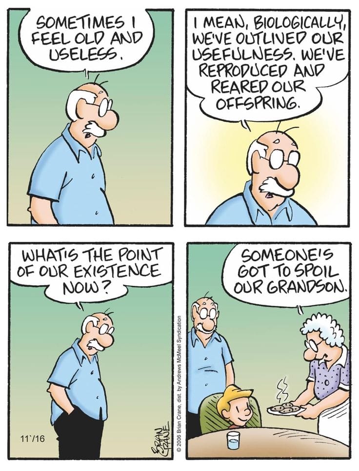 14-18 20 Best Family Comic Strips Reviewed, That Perfectly Capture Family Life
