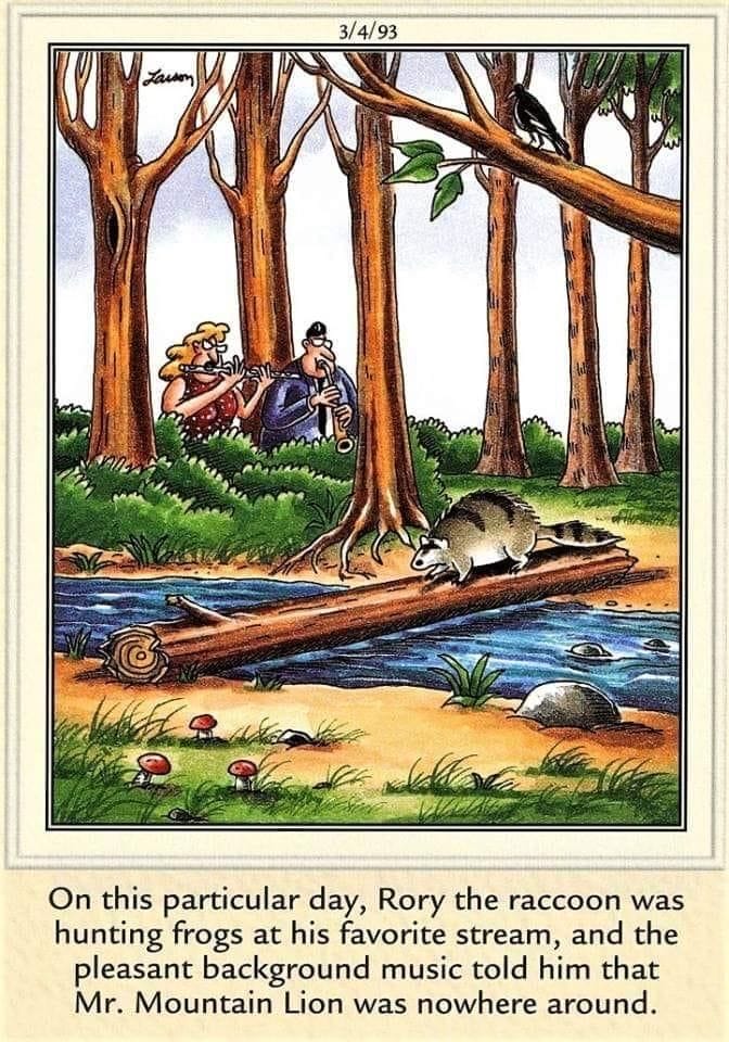 14-41 20 Weird Humor Comics Reviewed The Most Hilarious Cartoons of All Time