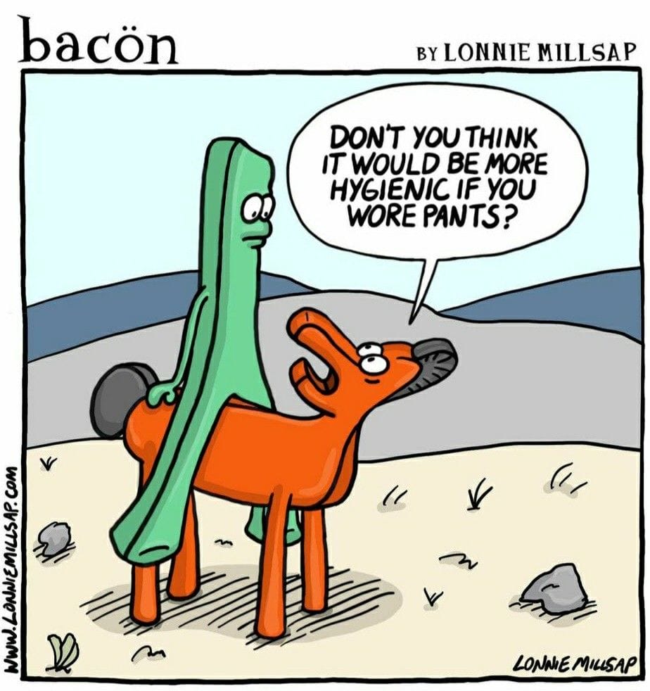 15-33 20 Best Webcomics With Big Laughs in Small Panels Curated by Bacon