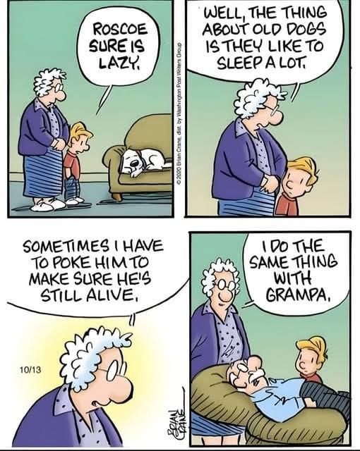 15-40 20 Family Humor Cartoons for All Ages The Comic Strips Everyone Loves
