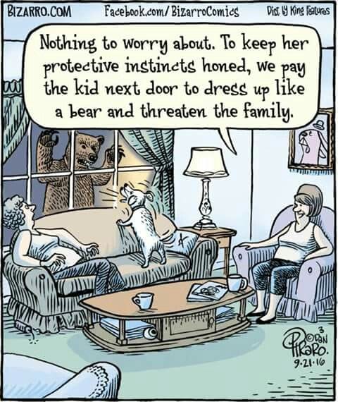 16-25 20 Top Hilarious Comics by Dan Piraro for a Daily Dose of Joy