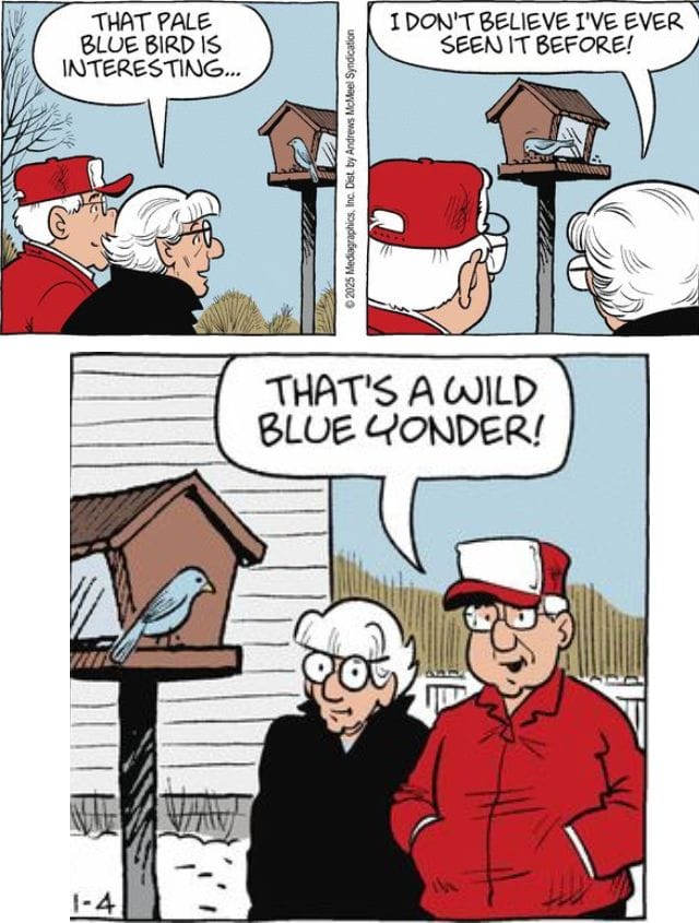 16-32 20 Comic Strip Humor Hits The Funniest Panels of All Time