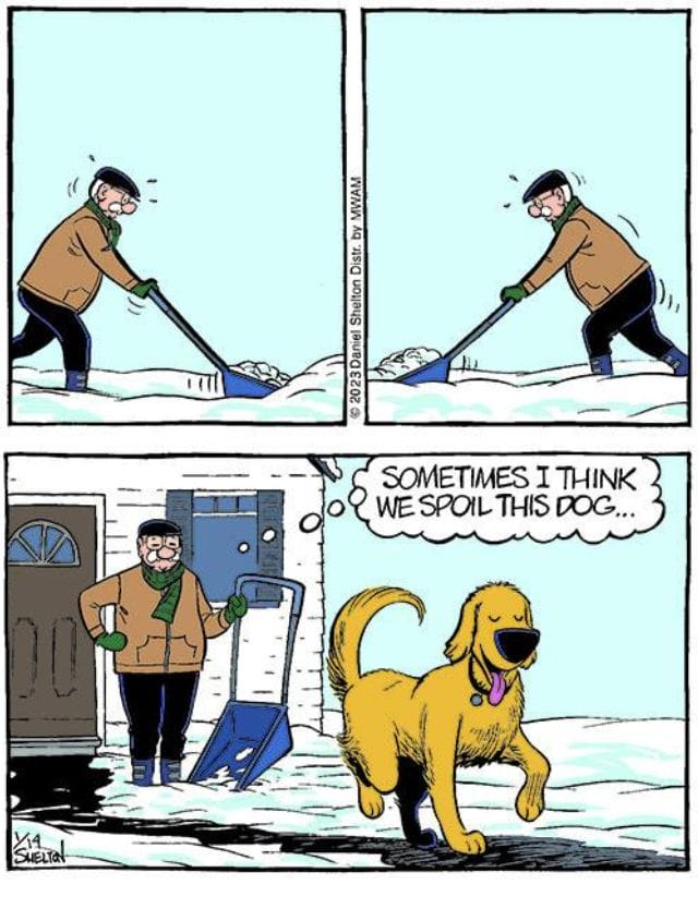 16-34 20 Funny Senior Humor Strips That Capture the Joys of Aging