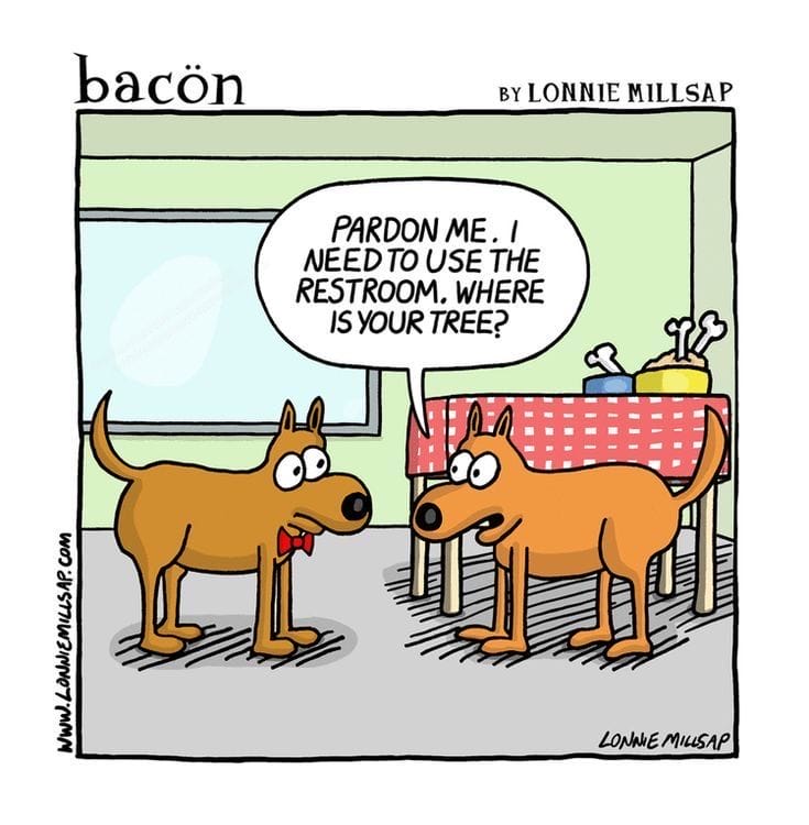 17-34 20 Best Webcomics With Big Laughs in Small Panels Curated by Bacon