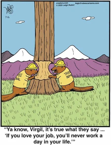 18-6 20 New Humor Cartoons Explode With Laughter The Best Panels of the Year