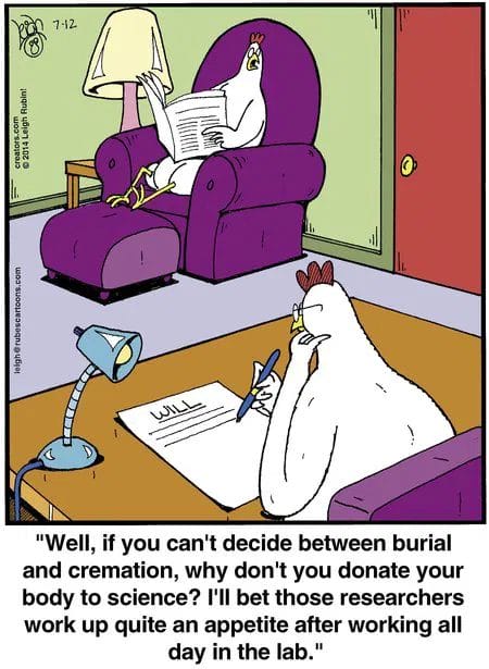 19-7 20 New Humor Cartoons Explode With Laughter The Best Panels of the Year
