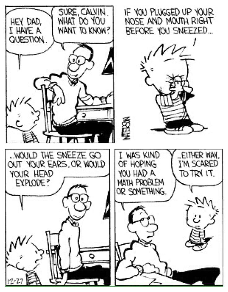 19 20 Hilarious Calvin and Hobbes Comics That Still Make Us Laugh Today