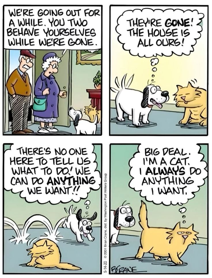 Daily Family Humor