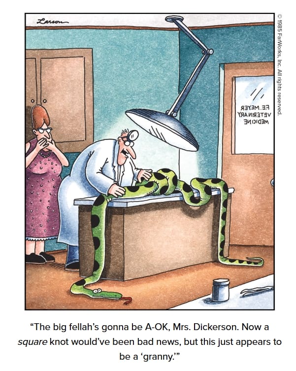 20-18 20 Latest Far Side Comics That Prove Gary Larson Is Still the King of Comedy