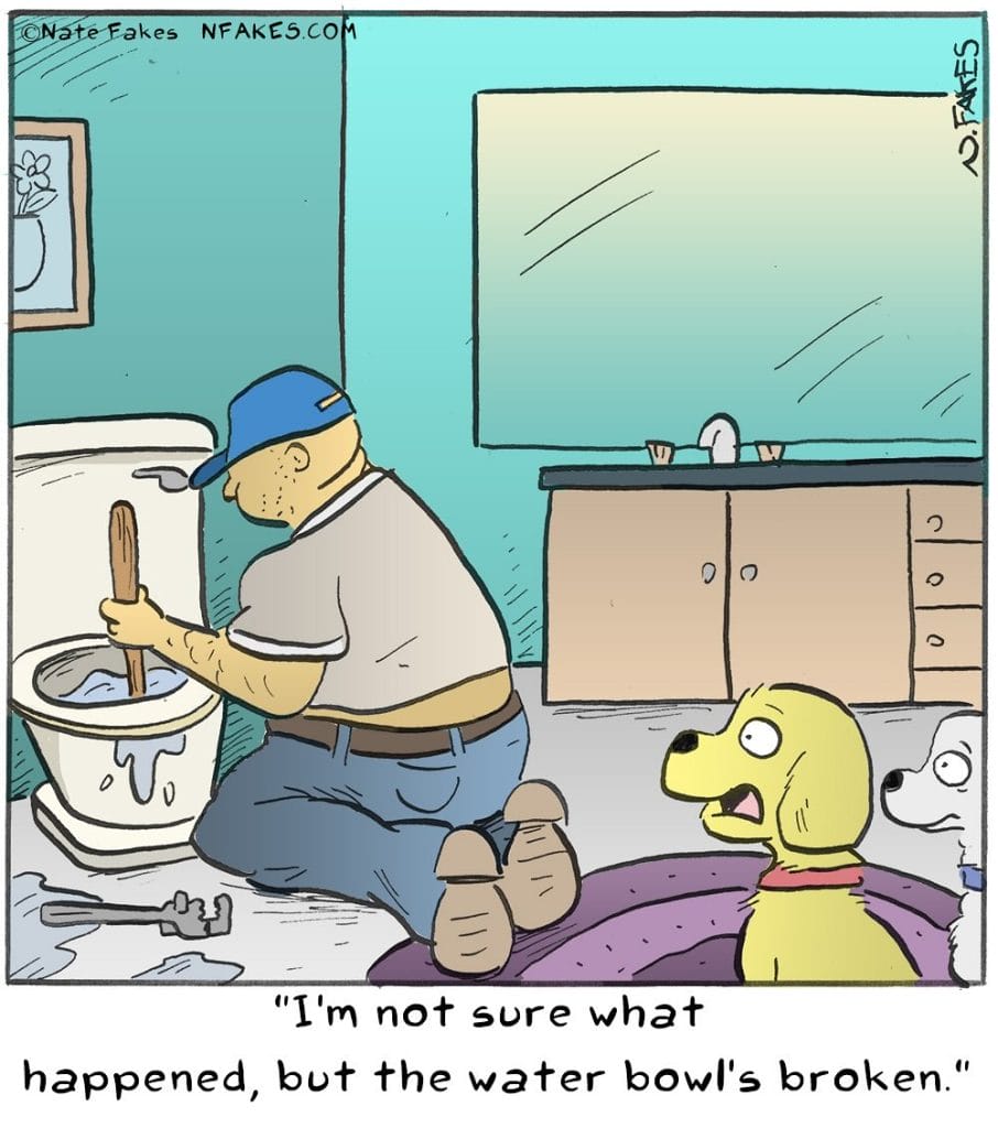 20-28-906x1024 20 Viral Comic Strips That Sum Up the Internet’s Humor by Nate Fakes