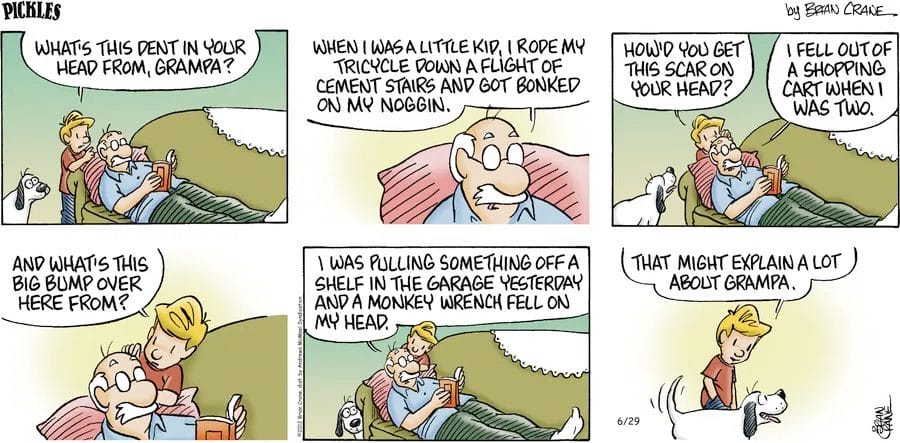 20-4 20 Best Family Comic Strips Reviewed, That Perfectly Capture Family Life
